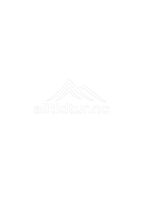 Alltidtur